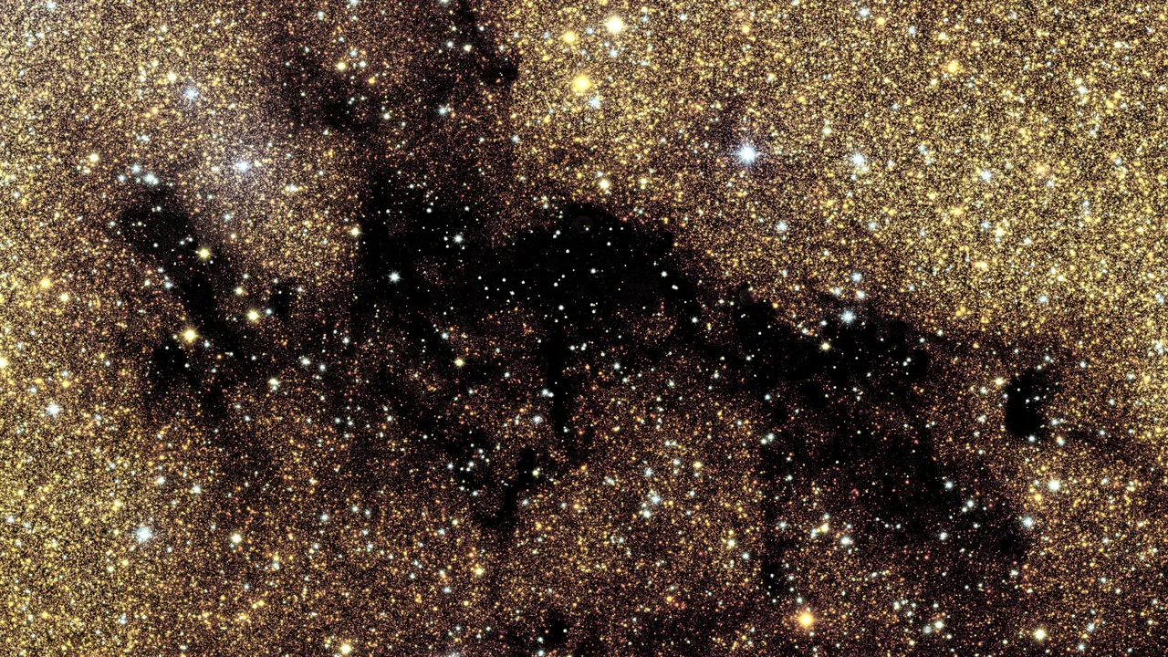 Euclid-Detailbild einer Molekülwolke vor dichtem Sternhintergrund