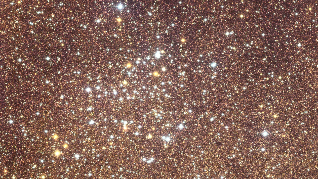 Euclid-Detailbild eines Sternhaufens im galaktischen Bulge