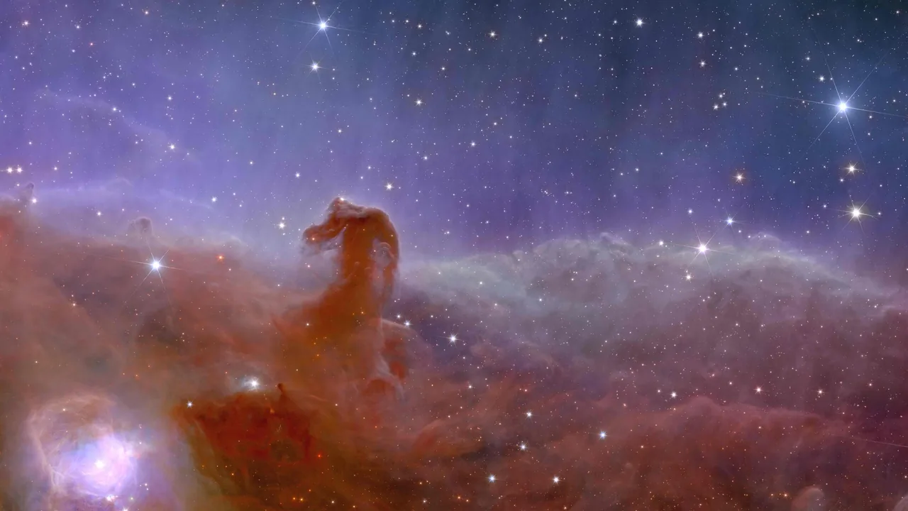 Euclid-Blick auf den Pferdekopfnebel
