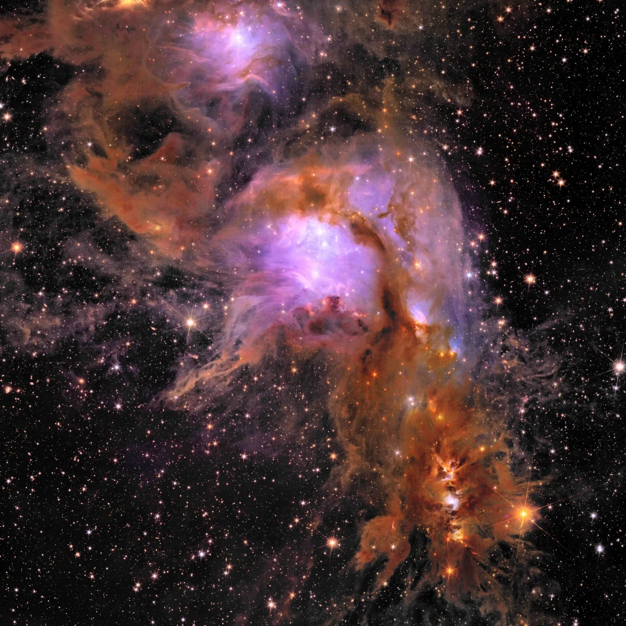 Euclid-Aufnahme der Sternentstehungsregion Messier 78