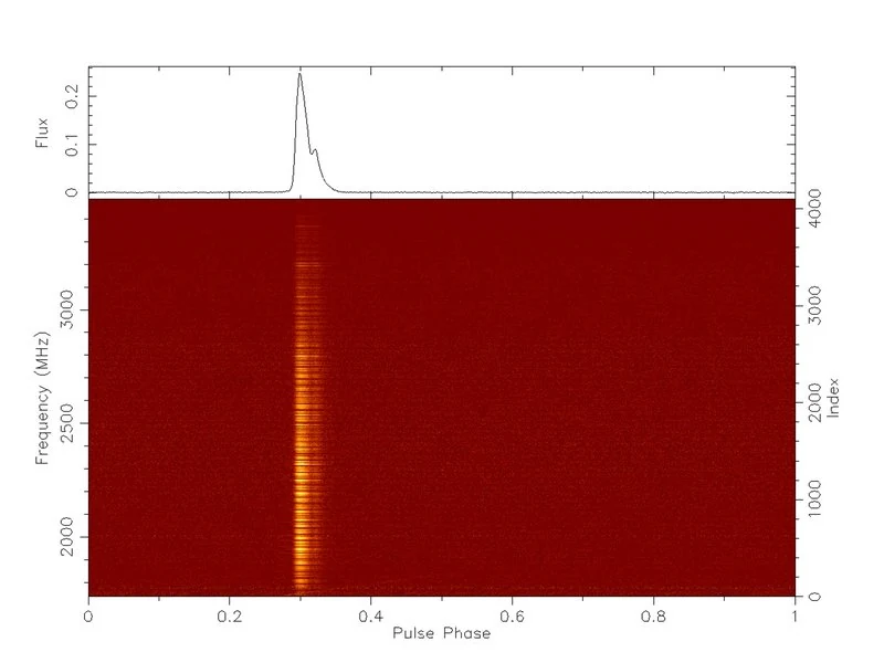 Pulsprofil und dynamisches Spektrum des mit SKAMPI beobachteten Vela-Pulsars